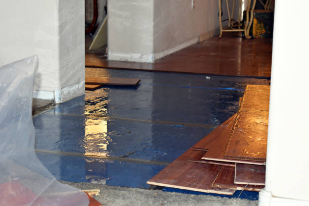 Professional Burst Pipe Cleanup technician working in Kennebunk, ME